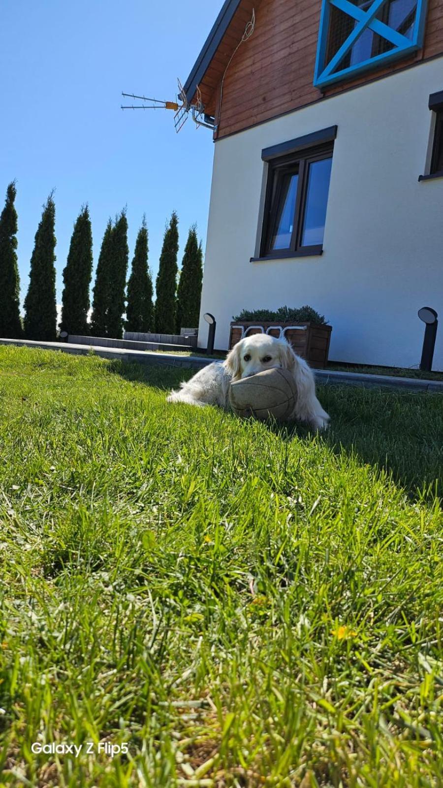 Domki U Sieronia Mielenko Exteriér fotografie